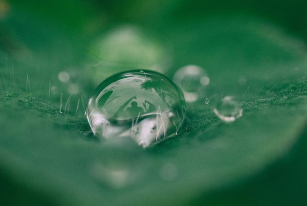 National Water Quality Month | WHYSgiving